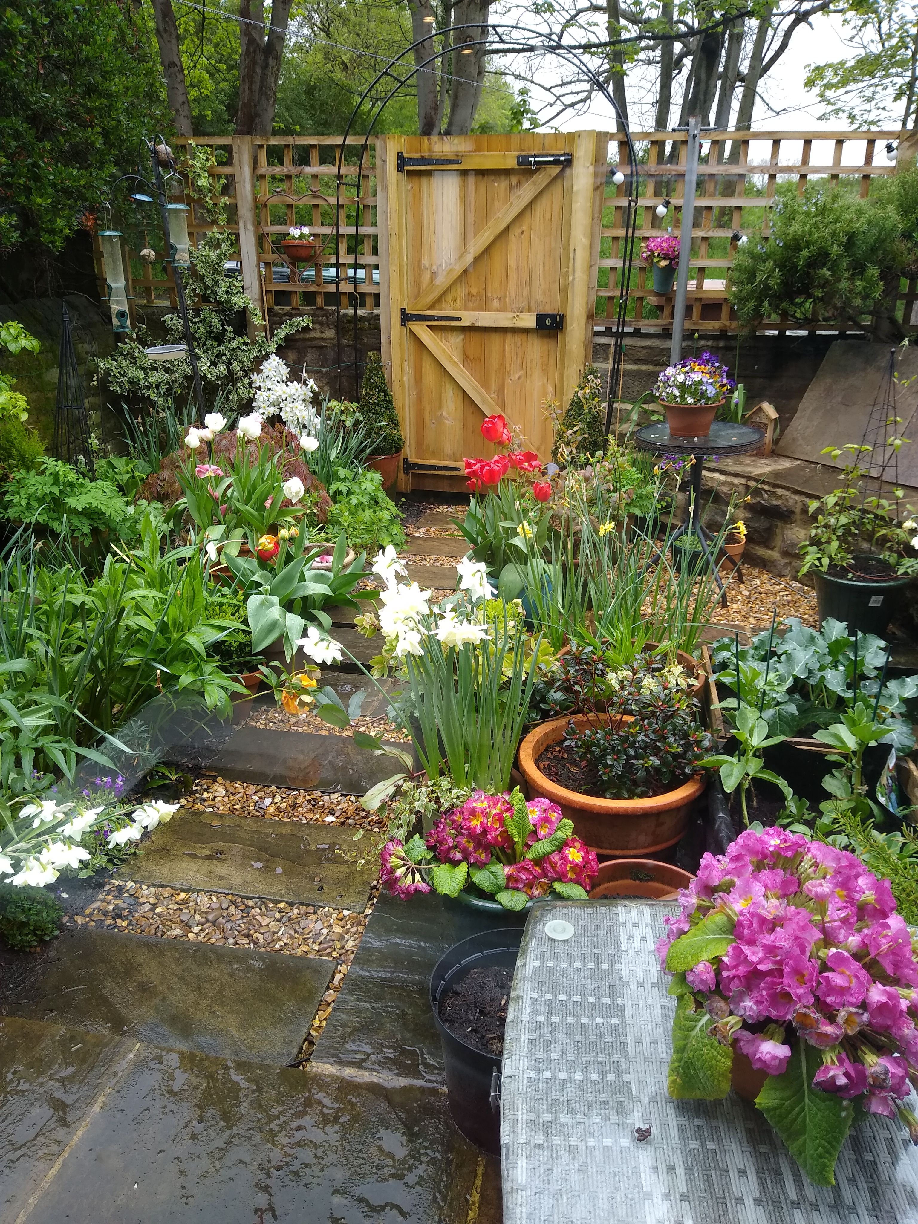 Read more about the article A small back yard becomes a flower-filled elegant courtyard in Shipley
